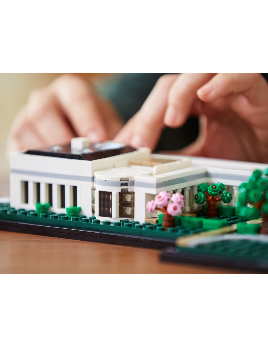 : Architecture: The White House popular #21054